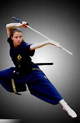 Image result for Martial Arts and More