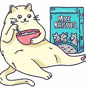 Image result for Hungry Cat Meme Sticker