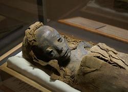 Image result for The History and Science of Mummies for Kids