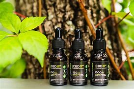 Image result for CBD Hemp Products