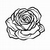 Image result for Blooming Rose Outline