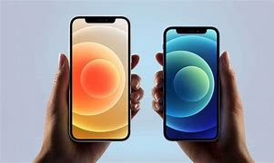 Image result for iPhone 12 Mini vs Pro Max