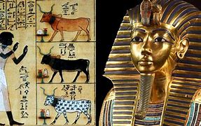 Image result for Modern Black Egyptians