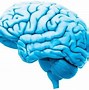 Image result for Types of Memory Psychology