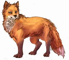 Image result for Angry Fox Outlines for Drawing