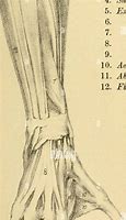 Image result for ahductor