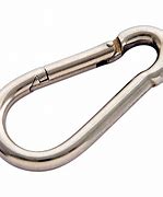 Image result for Spring Carabiner