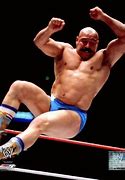 Image result for The Iron Sheik Wrestler
