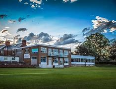 Image result for Street Cricket Club