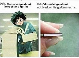 Image result for MHA Memes Book