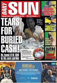 Image result for Daily Sun South Africa