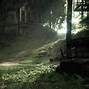 Image result for Post-Apocalyptic Forest