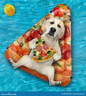 Image result for Fitness Pizza Meme Dog