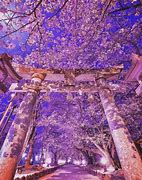 Image result for Cool Places in Japan Akihabara