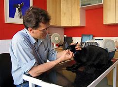 Image result for Veterinary CPR Chart