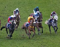 Image result for Horse Race in New York
