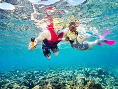 Image result for great barrier reef snorkeling
