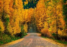 Image result for AUTUMN