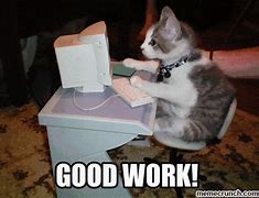 Image result for Fantastic Job Cat