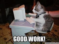 Image result for Great Job Cat Meme