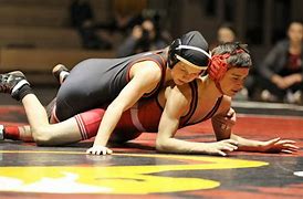 Image result for Wrestling Pins the Press