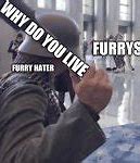 Image result for Furry Grenade Meme