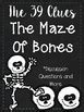 Image result for The Maze of Bones