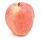 Image result for Gala Apple Seed Grow