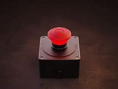 Image result for Big Button