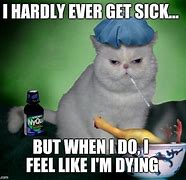 Image result for Sick Cat Meme
