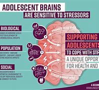 Image result for Facts About Mental Health