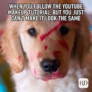 Image result for Funny Animals with Words
