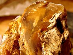 Image result for Petrified Wood Piece