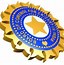 Image result for India Cricket Symbol