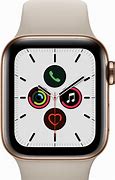 Image result for Series 5 Apple Watch Stainless
