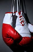 Image result for Boxing Gloves Wallpaper