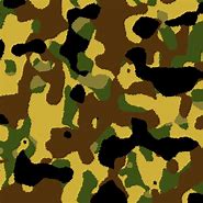 Image result for iPhone 10 Camo Cases