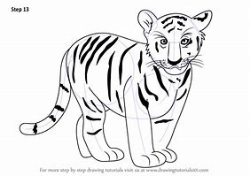 Image result for White Tiger Cub Drawing