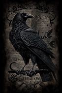Image result for Gothic Raven
