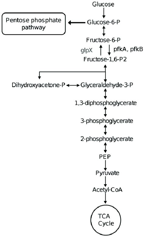 Image result for Dictionary Python Visual