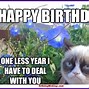 Image result for Funny Cat Memes Birthday