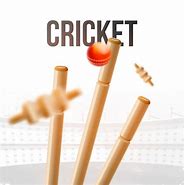 Image result for Cricket Vecotr Background