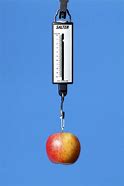 Image result for Bag of Apple's Newton Metre