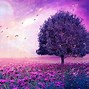 Image result for Purple Fall Wallpaper Windows Desktop