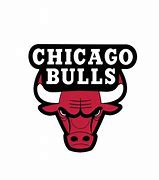 Image result for NBA Teams Chicago Bulls