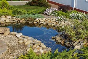 Image result for Cool Garden Ideas