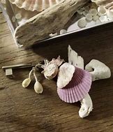 Image result for Coquillage Deco