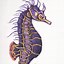 Image result for Funny Sea Horse Sketches