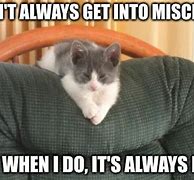 Image result for Mischief Cat Meme