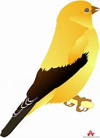 Image result for Canary Bird Clip Art